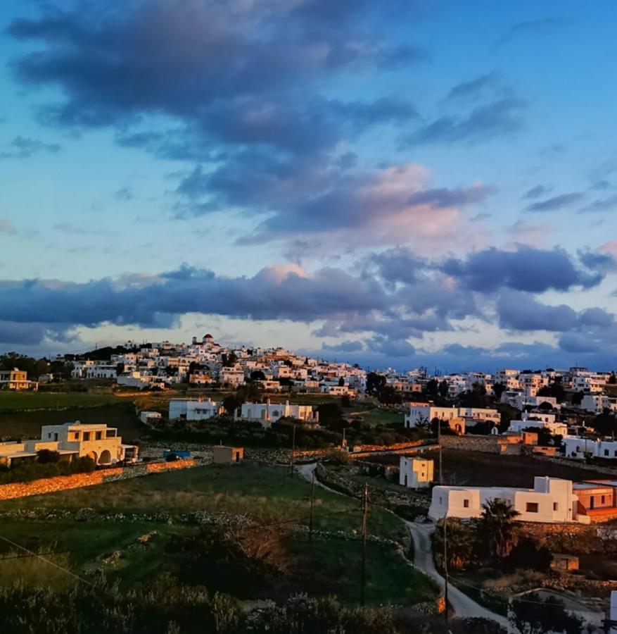 Amphitrite'S Haven - Cycladic House In Marpissa, Paros Villa Dış mekan fotoğraf